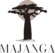 Main